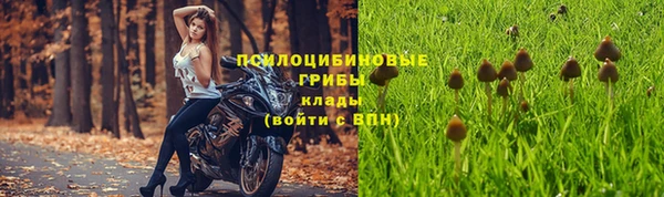 бутират Баксан