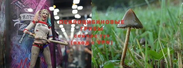 молекула духа Балахна