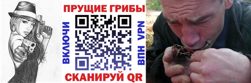 сколько стоит Долгопрудный Псилоцибиновые грибы мицелий